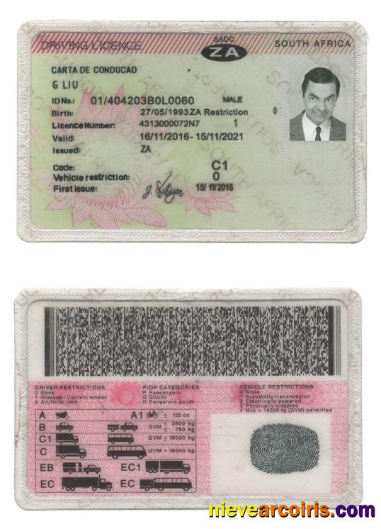 South Africa driving license